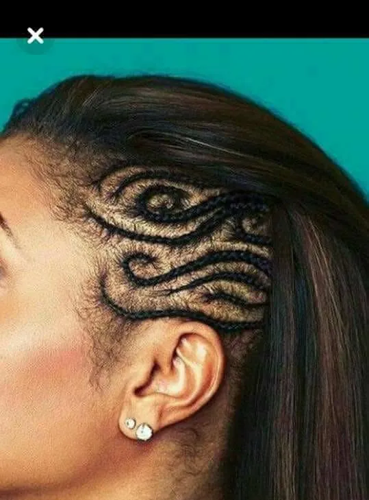 Bright' hair plug- (2)